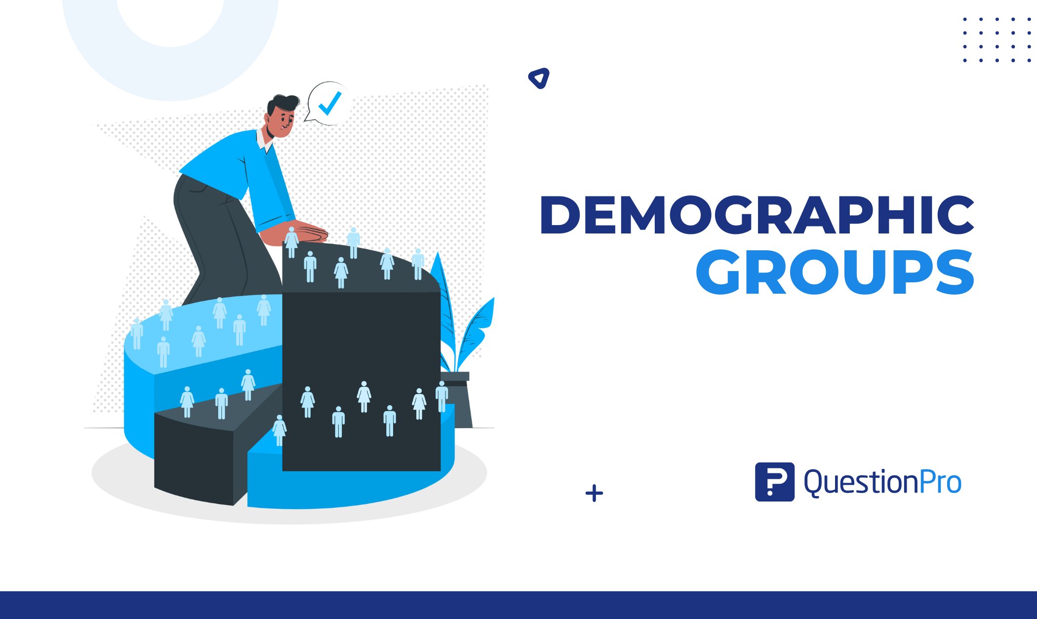 demographic-groups